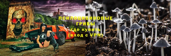 молекула духа Михайловка