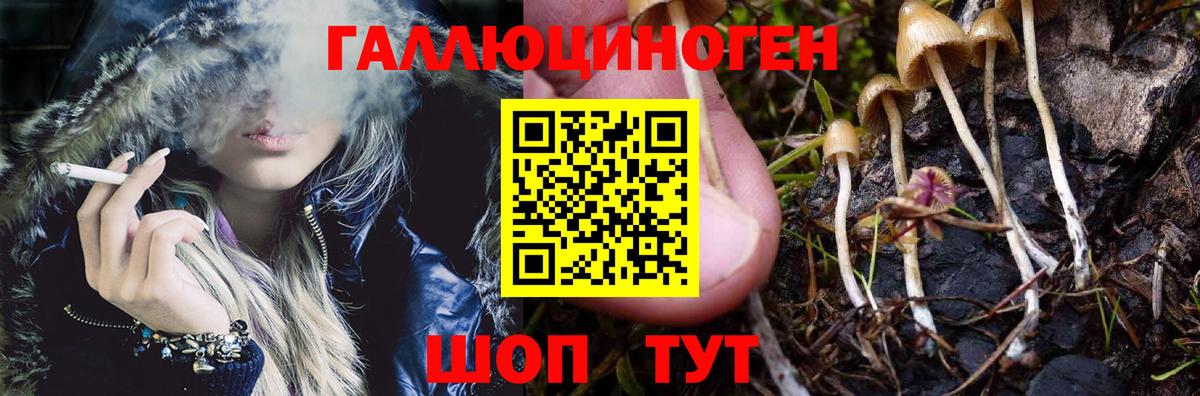 Галлюциногенные грибы прущие грибы  Вход с VPN  Звенигород 